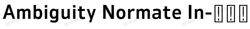 Ambiguity Normate In字体转换